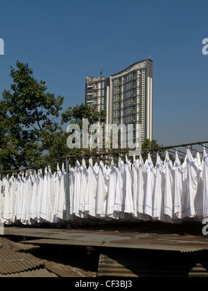 Wäscheständer bei Dhobi Ghat in Mumbai, Maharashtra, India Stockfoto