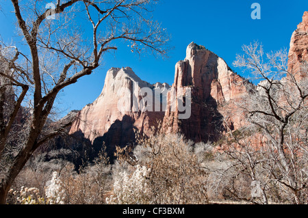 Gericht des Patriarchen interpretativen Zeichens, Zion Nationalpark, Utah. Stockfoto