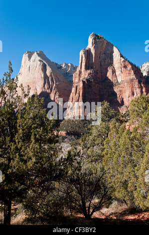 Gericht des Patriarchen interpretativen Zeichens, Zion Nationalpark, Utah. Stockfoto