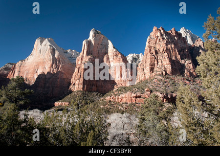 Gericht des Patriarchen interpretativen Zeichens, Zion Nationalpark, Utah. Stockfoto