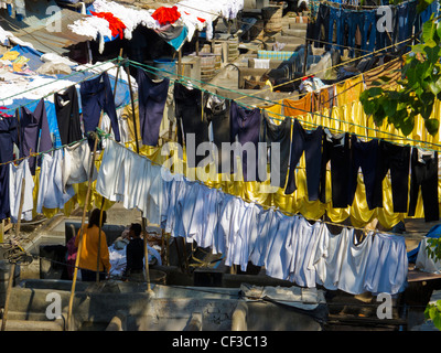 Wäscheständer bei Dhobi Ghat in Mumbai, Maharashtra, India Stockfoto