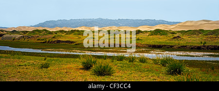 Khongoryn Els Sanddünen und Khongoryn Gol Flusses. Süd-Gobi Wüste. MongoliaG-Obi-Gurvansaikhan-Nationalpark Stockfoto