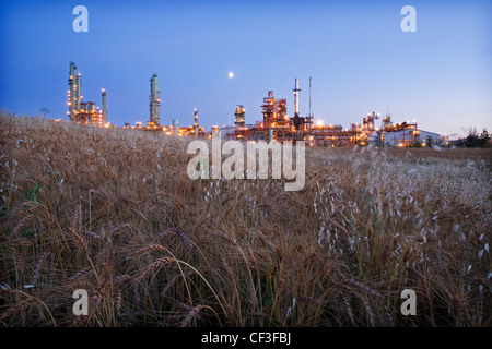 Bio-Kraftstoff-Raffinerie, Edmonton, Alberta, Kanada. Stockfoto