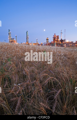 Bio-Kraftstoff-Raffinerie, Edmonton, Alberta, Kanada. Stockfoto