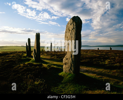 Ring von Brodgar Steinkreis und Henge mit Blick auf das Loch Harray. Stockfoto