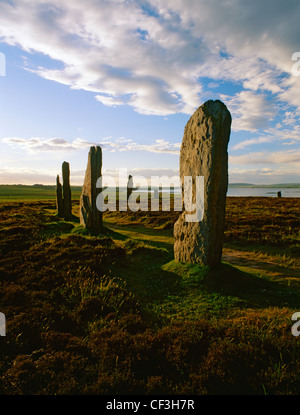 Ring von Brodgar Steinkreis und Henge mit Blick auf das Loch Harray. Stockfoto