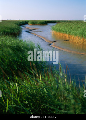 Nördliche Ende des Flusses Waveney, westlich von Burgh Castle römisches Kastell, wo es den Fluß Yare in Breydon Wasser schließt sich führen Stockfoto