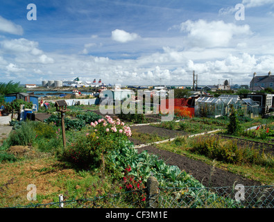 Kleingärten mit Salz-Insel und den Hafen über Prince Of Wales unterwegs. Stockfoto