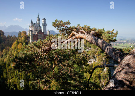 Schloss Neuschwanstein, Bayern, Deutschland, Europa Stockfoto