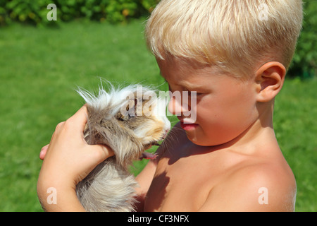 Junge spielt mit Meerschweinchen auf Wiese Stockfoto