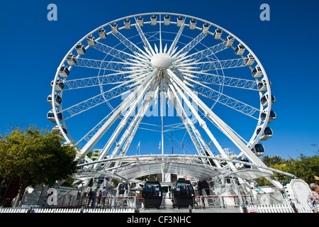 Rad an V & A Waterfront, Cape Town, Western Cape Province, Südafrika Stockfoto