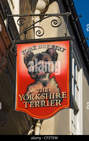 Der Yorkshire-Terrier Pub Schild, Stonegate. Stockfoto