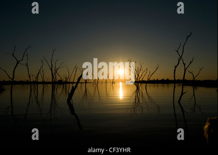 Matusadona Nationalpark Lake Kariba Simbabwe Stockfoto