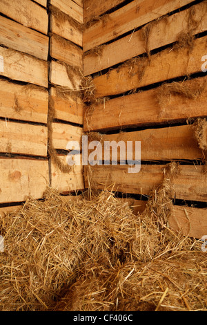 Innenraum des Dorf-Gebäudes. Viel Heu in der Scheune des rauen Planken mit Bast. Stockfoto