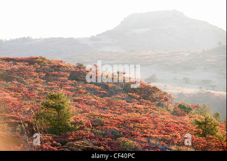 Atemberaubende Landschaft von Nyanga Simbabwe Eastern Highlands Stockfoto