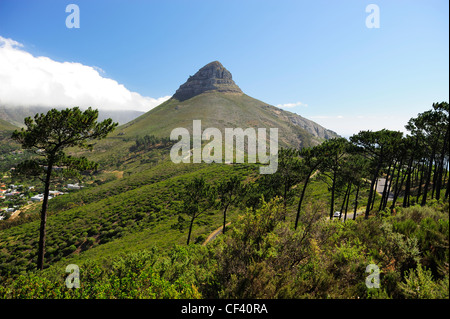 Löwenkopf vom Signal Hill, Cape Town, Western Cape, Südafrika Stockfoto