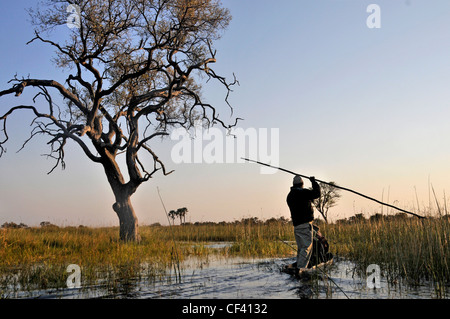 Poler Segeln Makoro am Okavango-Delta in Afrika. Stockfoto