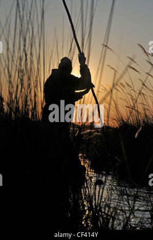 Makoro Poler, Silhouette bei Sonnenuntergang. Stockfoto