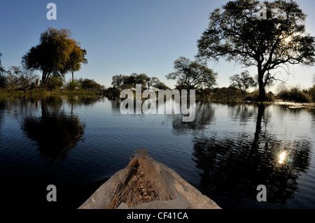 Blick vom Makoro Kanu auf einem afrikanischen Fluss. Stockfoto