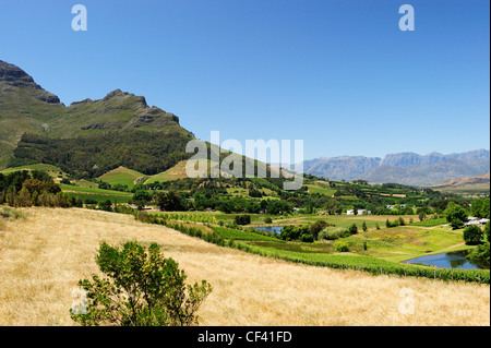 Gesamtansicht der Landschaft in Stellenbosch Wein Region, Western Cape, Südafrika Stockfoto