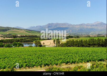 Glen Carlou Wine Estate, Stellenbosch, Western Cape, Südafrika Stockfoto