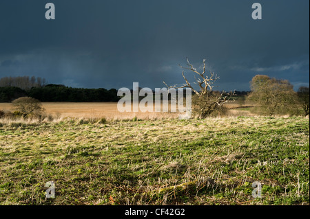 Sturmwolken sammeln direkt vor Southwold an der Erbe-Küste. Stockfoto