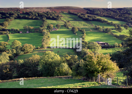 Am Abend Sonnenlicht fällt über Felder auf dem Hügel des Brecon Beacons. Stockfoto