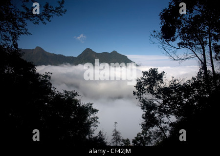 Nebel schwebt unter einer Bergspitze in El Triunfo Biosphären-Reservat in den Bergen der Sierra Madre, Bundesstaat Chiapas, Mexiko. Stockfoto