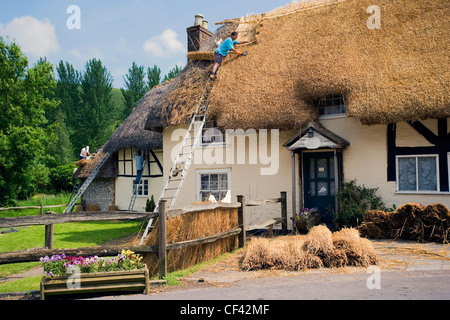 Arbeit, einem traditionellen Reetdach auf einer Hütte zu ersetzen. Stockfoto