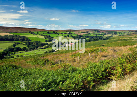 Blick über Commondale Moor in Richtung fernen Heidekraut bewachsenen Hügel. Stockfoto