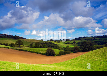 Eine Ackerfläche schmiegt sich zwischen grünen Hügeln im Herzen von Dorset. Stockfoto
