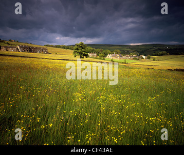 Blick über eine Mähwiese in Richtung eines Dorfes in der ländlichen Umgebung von Halifax. Stockfoto