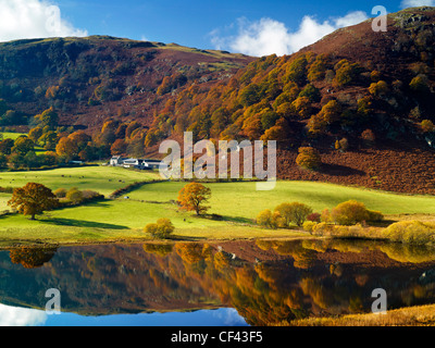 Herbstliche Farben auf dem Display in der Elan-Tal. Stockfoto