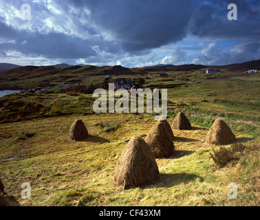 Blick über traditionelle handgefertigte Heuschober in einem Feld in Richtung der abgelegenen Dorf Tarbert auf der Isle of Harris. Stockfoto