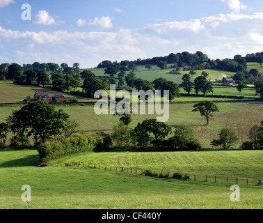 Blick über Ackerland auf sanften Hügeln im ländlichen Cheshire. Stockfoto