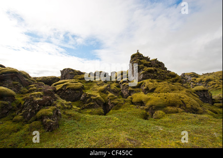 Unregelmäßige Formen von Moos bedeckt Lava-Formationen Stockfoto