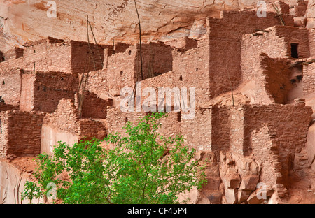 Betatakin Ruine im Tsegi Canyon, Navajo National Monument, Shonto Plateau, Arizona, USA Stockfoto