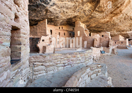 Spruce Tree House Ruinen im Alkoven im Chaplin Mesa in Mesa Verde Nationalpark, Colorado, USA Stockfoto