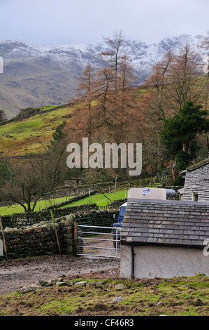 Blick von Millbeck Farm, Great Langdale, Nr. Ambleside, Cumbria, Vereinigtes Königreich, England, auf der Suche nach dem Kopf der Tal mit Schnee bedeckt Hil im Januar Stockfoto