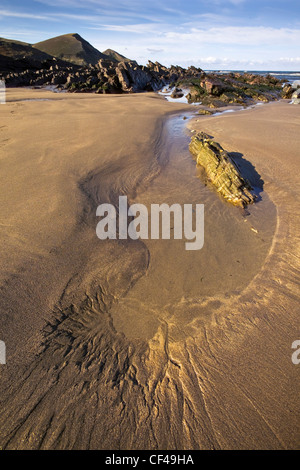 Ein Rockpool am Strand von Crackington Haven, ein beliebtes Ausflugsziel in der Nähe von Bude und Boscastle. Stockfoto