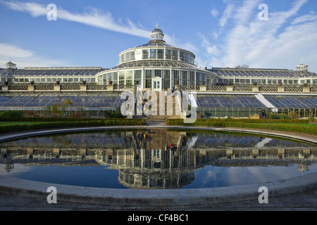 Alten Gewächshaus und Pool in Kopenhagen, Dänemark, Skandinavien, Nordeuropa, Ostsee, EU. Stockfoto