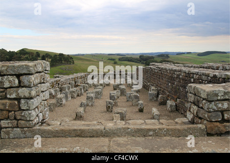 Housesteads Roman Fort (Vercovicium), Hadrianswall, Northumberland, England, Großbritannien, Vereinigtes Königreich, UK, Europa Stockfoto