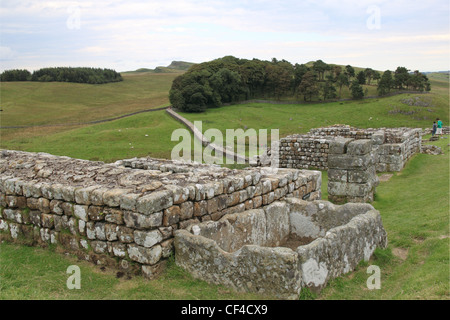 Housesteads Roman Fort (Vercovicium), Hadrianswall, Northumberland, England, Großbritannien, Vereinigtes Königreich, UK, Europa Stockfoto