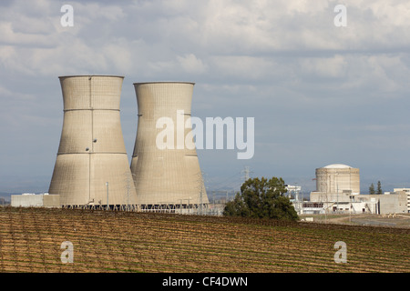 Stillgelegtes Kernkraftwerk in Sacramento, Kalifornien, das Weinreben in den Feldern um die Kühltürme zeigt. Stockfoto