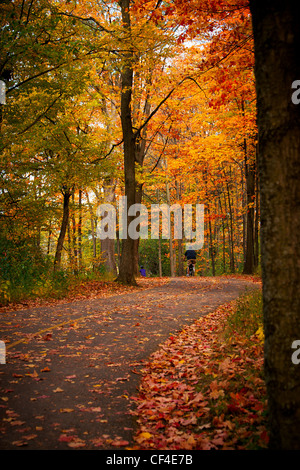 Radfahrer Fahrrad einen gewundenen Fahrrad Weg, die durchschneidet das Reich Herbstlaub von Vincent Massey Park in Ottawa, Kanada. Stockfoto