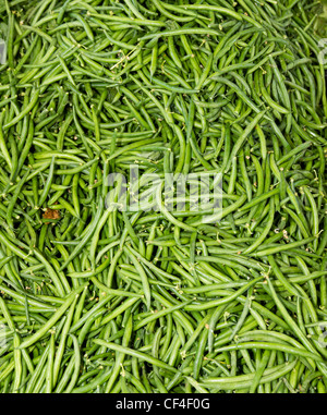 Frisch geerntete grüne oder grüne Bohnen auf dem Display auf dem Bauernmarkt Stockfoto