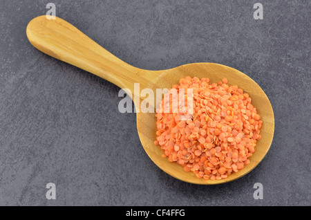 Rote Linsen in Holzlöffel auf Schiefer Hintergrund Stockfoto