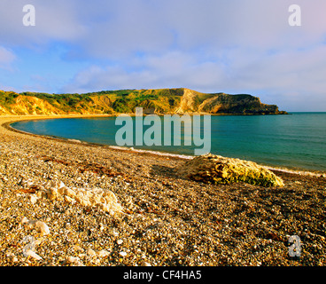 Lulworth Cove an der Jurassic Coast in Dorset. Stockfoto