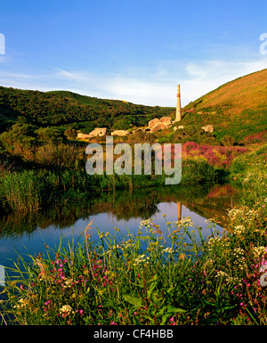 Stillgelegtes tin mine und Arsen Werke, Teil der Boswedden Mine Enterprise in St Just. Das Bergwerk befindet sich in der Wildnis und beaut Stockfoto