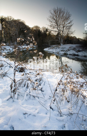 Der Fluss Gipping im Winter. Der Fluss entspringt aus einer kleinen Quelle in der Nähe von Mendlesham, aber es wird der Name vom Dorf Gippi Stockfoto